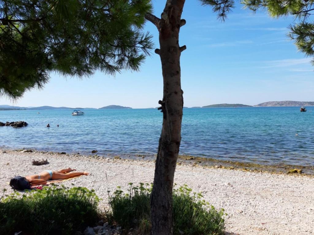Guesthouse Brodarica شيبينيك المظهر الخارجي الصورة